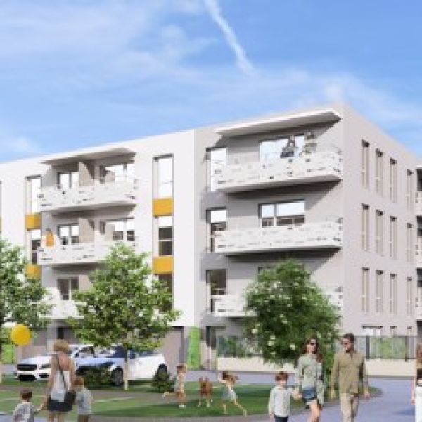 Property News 